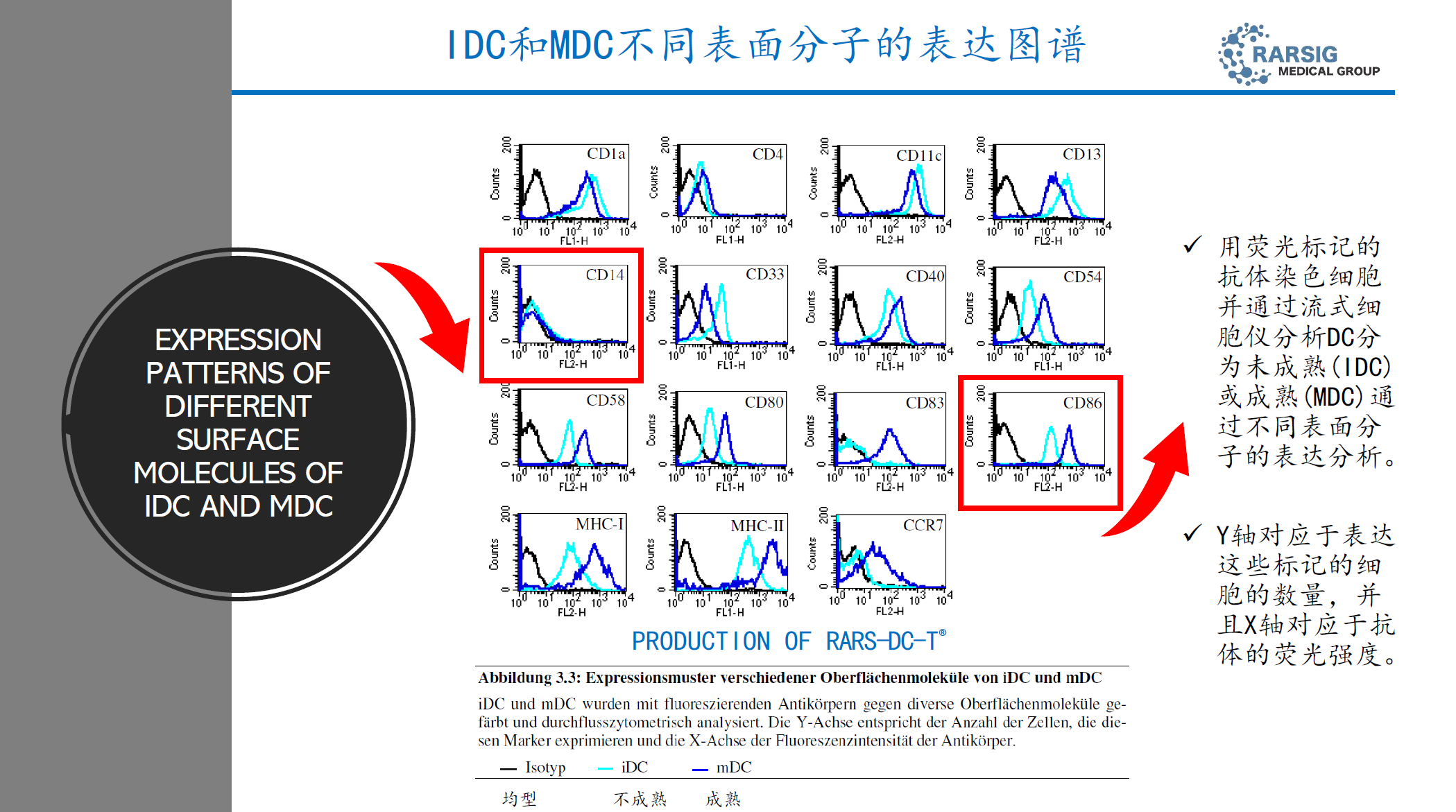 iDC和mDC图谱表达
